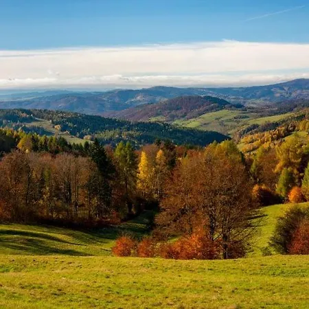 Apartment Apartament Lux Sunrise Zywiec